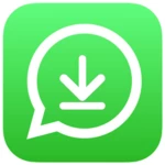 whatsapp image and video status downloader 4 in 1 android application logo